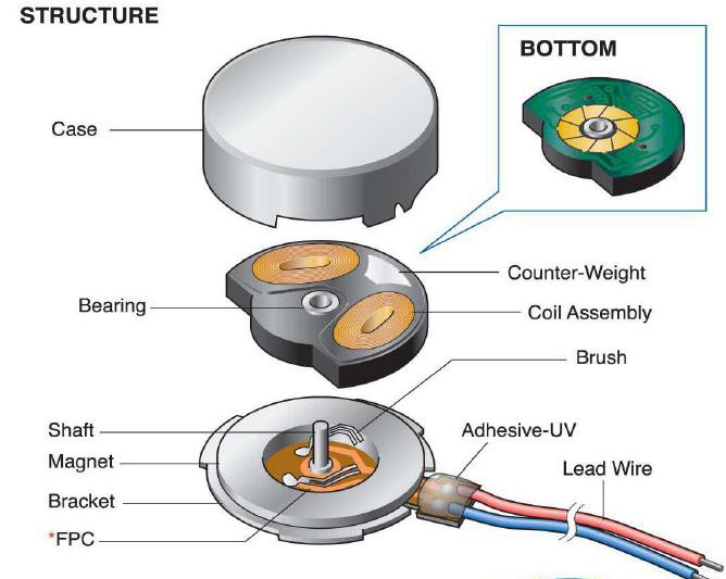 Inside Coin Vibration Motor 
